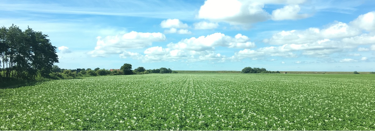 Ferienhof Ewers Ökolandbau